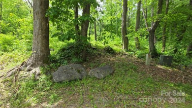 Tucked away in the beautiful North Cove area of the Blue Ridge on Linville Falls Golf Club in North Carolina - for sale on GolfHomes.com, golf home, golf lot