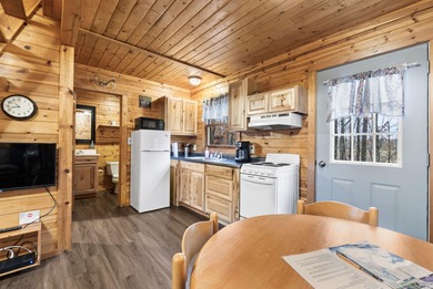 Charming and cozy, this Beaver Creek Resort cabin offers the on The Loon Golf Resort in Michigan - for sale on GolfHomes.com, golf home, golf lot