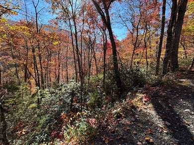 This 1.954-acre lot, set at an elevation of just over 3,000 feet on Sequoyah National Golf Club in North Carolina - for sale on GolfHomes.com, golf home, golf lot