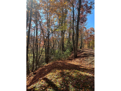 This 1.954-acre lot, set at an elevation of just over 3,000 feet on Sequoyah National Golf Club in North Carolina - for sale on GolfHomes.com, golf home, golf lot