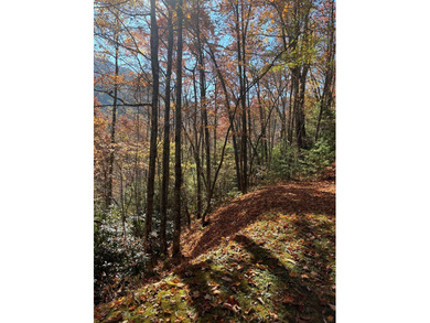This 1.954-acre lot, set at an elevation of just over 3,000 feet on Sequoyah National Golf Club in North Carolina - for sale on GolfHomes.com, golf home, golf lot