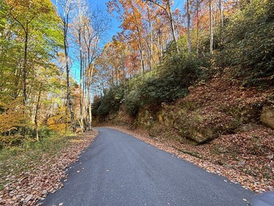 This 1.954-acre lot, set at an elevation of just over 3,000 feet on Sequoyah National Golf Club in North Carolina - for sale on GolfHomes.com, golf home, golf lot