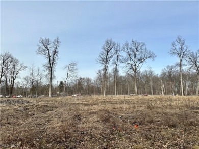 Let us build your next home on this roomy 80x202 lot located in on Old Avalon Golf Course in Ohio - for sale on GolfHomes.com, golf home, golf lot