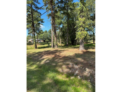 Golf course lot on number 18th hole fairway. Mature trees, great on Belle Meade Country Club in Georgia - for sale on GolfHomes.com, golf home, golf lot