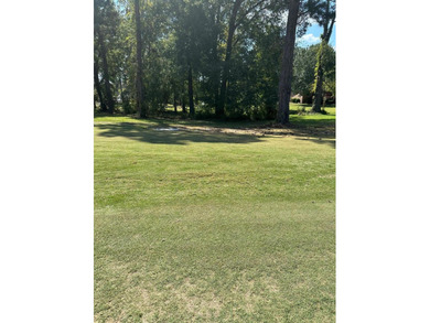 Golf course lot on number 18th hole fairway. Mature trees, great on Belle Meade Country Club in Georgia - for sale on GolfHomes.com, golf home, golf lot