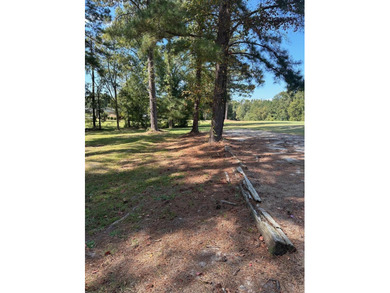 Golf course lot on number 18th hole fairway. Mature trees, great on Belle Meade Country Club in Georgia - for sale on GolfHomes.com, golf home, golf lot