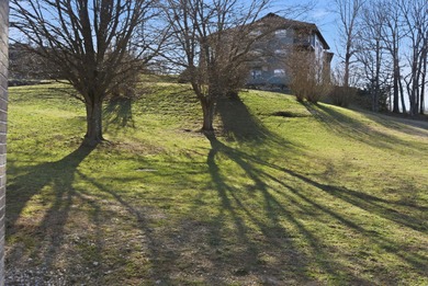 Beautiful 1 bedroom condo in the desirable Stonebridge Village! on Ledgestone Country Club and Golf Course in Missouri - for sale on GolfHomes.com, golf home, golf lot