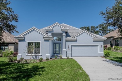 Stunning New Home in Upscale Terra Vista at Citrus Hills

 on Skyview At Terra Vista Golf and Country Club in Florida - for sale on GolfHomes.com, golf home, golf lot