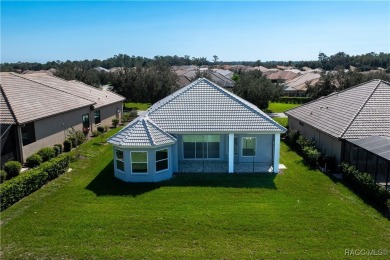 Stunning New Home in Upscale Terra Vista at Citrus Hills

 on Skyview At Terra Vista Golf and Country Club in Florida - for sale on GolfHomes.com, golf home, golf lot