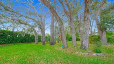 MAINTENANCE-FREE HOME!! BEAUTIFUL and LARGE 3 bedroom, 2 on Glen Lakes Country Club in Florida - for sale on GolfHomes.com, golf home, golf lot