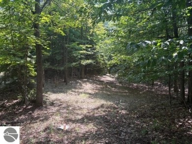 If you've been searching for the perfect Leelanau County vacant on The Leelanau Club At Bahle Farms in Michigan - for sale on GolfHomes.com, golf home, golf lot