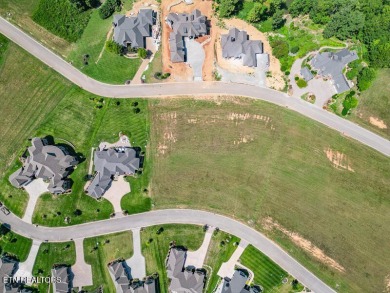 Experience the beauty of lakeview living with this exceptional on Wind River Golf Course in Tennessee - for sale on GolfHomes.com, golf home, golf lot