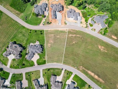 Experience the beauty of lakeview living with this exceptional on Wind River Golf Course in Tennessee - for sale on GolfHomes.com, golf home, golf lot