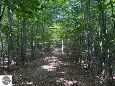 If you've been searching for the perfect Leelanau County vacant on The Leelanau Club At Bahle Farms in Michigan - for sale on GolfHomes.com, golf home, golf lot