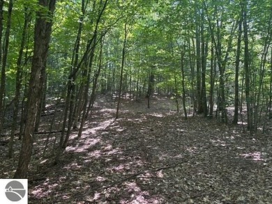 If you've been searching for the perfect Leelanau County vacant on The Leelanau Club At Bahle Farms in Michigan - for sale on GolfHomes.com, golf home, golf lot