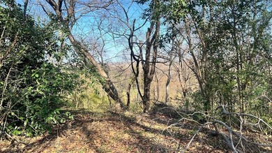 This beautiful oversized lot is the perfect location for your on Cedar Crest Golf Course in Texas - for sale on GolfHomes.com, golf home, golf lot