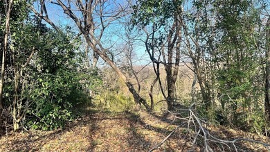 This beautiful oversized lot is the perfect location for your on Cedar Crest Golf Course in Texas - for sale on GolfHomes.com, golf home, golf lot