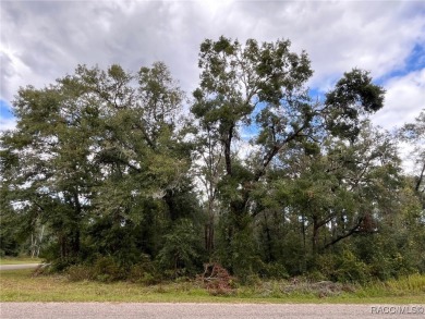Here is a nice corner lot to build your dream home on.  This on Citrus Springs Country Club in Florida - for sale on GolfHomes.com, golf home, golf lot