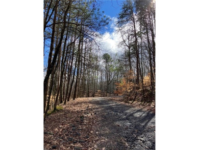 Discover your private woodland retreat with seasonal long-range on The Highlands Course at Lake Arrowhead in Georgia - for sale on GolfHomes.com, golf home, golf lot