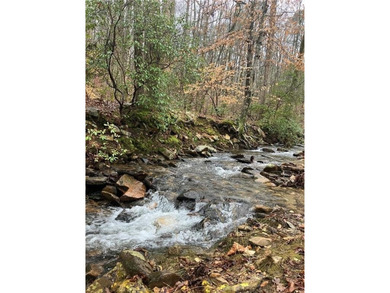 Discover your private woodland retreat with seasonal long-range on The Highlands Course at Lake Arrowhead in Georgia - for sale on GolfHomes.com, golf home, golf lot