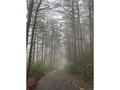 Discover your private woodland retreat with seasonal long-range on The Highlands Course at Lake Arrowhead in Georgia - for sale on GolfHomes.com, golf home, golf lot