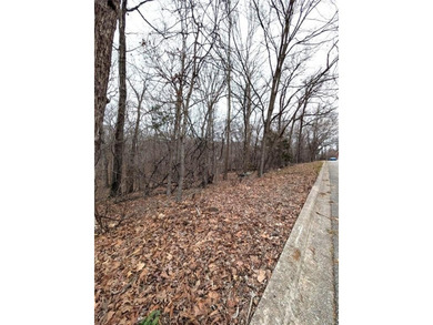 Located on a beautifully curbed street lined with well-kept on Bella Vista - Metfield Golf Complex and Country Club in Arkansas - for sale on GolfHomes.com, golf home, golf lot