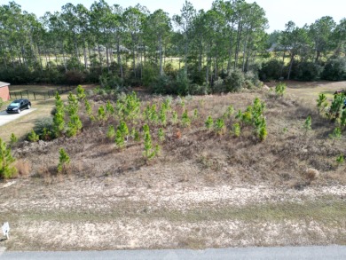 This beautiful and ready .63 acre lot backing up to Hole #13 Par on Windswept Dunes Golf Club in Florida - for sale on GolfHomes.com, golf home, golf lot