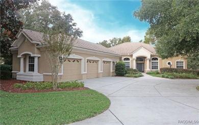 EXCEPTIONAL LUXURY RESIDENCE IN THE EXTRAORDINARY GATED on Skyview At Terra Vista Golf and Country Club in Florida - for sale on GolfHomes.com, golf home, golf lot