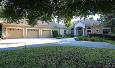 EXCEPTIONAL LUXURY RESIDENCE IN THE EXTRAORDINARY GATED on Skyview At Terra Vista Golf and Country Club in Florida - for sale on GolfHomes.com, golf home, golf lot