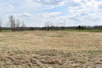 Excellent building site in Adrian Township with frontage on the on Wolf Creek Golf Club in Michigan - for sale on GolfHomes.com, golf home, golf lot