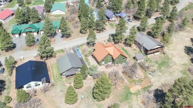 F. Lynn Johnson, Sherpa Real Estate, C: , Lynn,  : BRIGHT AND on Pagosa Springs Golf Club in Colorado - for sale on GolfHomes.com, golf home, golf lot