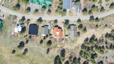 F. Lynn Johnson, Sherpa Real Estate, C: , Lynn,  : BRIGHT AND on Pagosa Springs Golf Club in Colorado - for sale on GolfHomes.com, golf home, golf lot