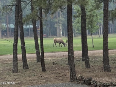COMPLETELY REMODELED AND TURN KEY! Just bring your clothes and on Pinetop Lakes Country Club in Arizona - for sale on GolfHomes.com, golf home, golf lot