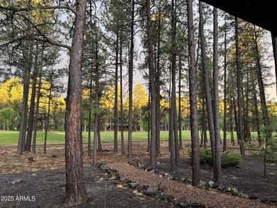 COMPLETELY REMODELED AND TURN KEY! Just bring your clothes and on Pinetop Lakes Country Club in Arizona - for sale on GolfHomes.com, golf home, golf lot