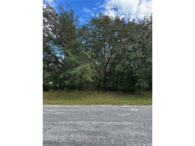 For Sale: Spacious .33 Acre Corner Lot in Citrus Springs, FL! on Pine Ridge Community Golf and Country Club in Florida - for sale on GolfHomes.com, golf home, golf lot