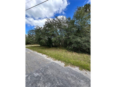 For Sale: Spacious .33 Acre Corner Lot in Citrus Springs, FL! on Pine Ridge Community Golf and Country Club in Florida - for sale on GolfHomes.com, golf home, golf lot