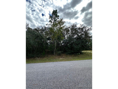 For Sale: Spacious .33 Acre Corner Lot in Citrus Springs, FL! on Pine Ridge Community Golf and Country Club in Florida - for sale on GolfHomes.com, golf home, golf lot