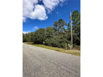 For Sale: Spacious .33 Acre Corner Lot in Citrus Springs, FL! on Pine Ridge Community Golf and Country Club in Florida - for sale on GolfHomes.com, golf home, golf lot