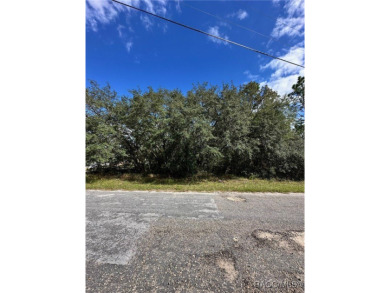 For Sale: Spacious .33 Acre Corner Lot in Citrus Springs, FL! on Pine Ridge Community Golf and Country Club in Florida - for sale on GolfHomes.com, golf home, golf lot