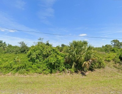 Discover the ideal greenbelt building lot in East Englewood on Duffys Golf Center in Florida - for sale on GolfHomes.com, golf home, golf lot