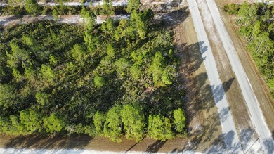 Build your dream home in the sought-after gated community of on Indian Lake Estates Golf and Country Club in Florida - for sale on GolfHomes.com, golf home, golf lot