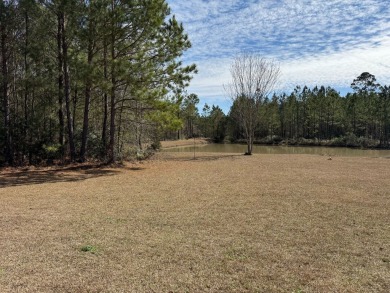 This stunning property, situated on 22 acres in the Lowcountry on Penny Branch Club in South Carolina - for sale on GolfHomes.com, golf home, golf lot