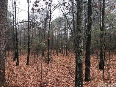 Come build your dream home today on the golf course frontage lot on Mountain Ranch Golf Club in Arkansas - for sale on GolfHomes.com, golf home, golf lot