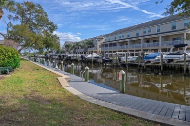 Embrace quintessential Florida waterfront living in this on Tarpon Springs Golf Course in Florida - for sale on GolfHomes.com, golf home, golf lot