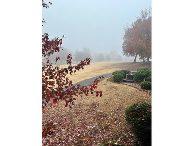 Wake up on the fairway and walk to everything Metfield. This on Bella Vista - Metfield Golf Complex and Country Club in Arkansas - for sale on GolfHomes.com, golf home, golf lot