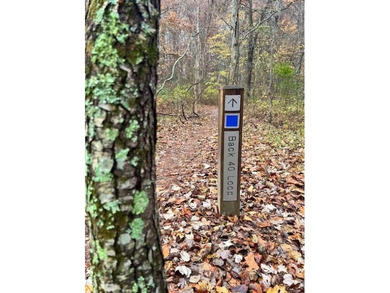 Wake up on the fairway and walk to everything Metfield. This on Bella Vista - Metfield Golf Complex and Country Club in Arkansas - for sale on GolfHomes.com, golf home, golf lot