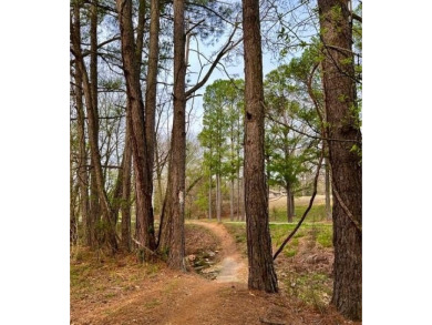 Wake up on the fairway and walk to everything Metfield. This on Bella Vista - Metfield Golf Complex and Country Club in Arkansas - for sale on GolfHomes.com, golf home, golf lot