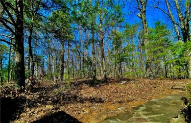 Must see this picturesque 3.23 acre wooded lot with stunning on The Orchard Golf and Country Club in Georgia - for sale on GolfHomes.com, golf home, golf lot