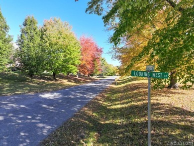 Be the first to call this your Kerr Lake Dream Home! BRAND NEW on Kinderton Country Club in Virginia - for sale on GolfHomes.com, golf home, golf lot