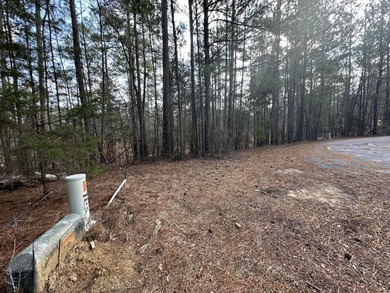 Large & Secluded 0.60 Acre Residential Lot in the Shenandoah on Monticello Golf Club At Savannah Lakes in South Carolina - for sale on GolfHomes.com, golf home, golf lot
